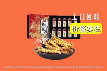 上海市黄浦回收虫草